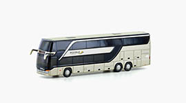 095-LC4487 - N - Setra S 431DT Postbus (AT), metallic gold